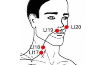 La funzione della bocca in Medicina Tradizionale Cinese
