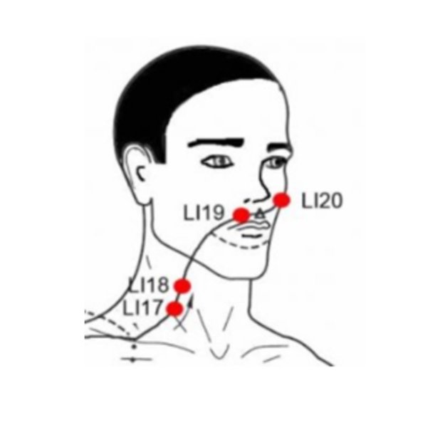 La funzione della bocca in Medicina Tradizionale Cinese